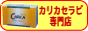 カリカセラピPS-501専門店 カリカeショップドットコム