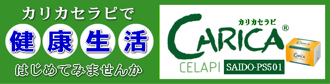 カリカセラピPS501専門店 カリカセラピ ドット コム