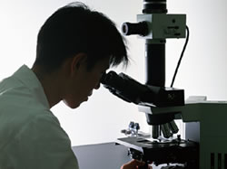 カリカセラピSAIDO-PS501 共同学術研究